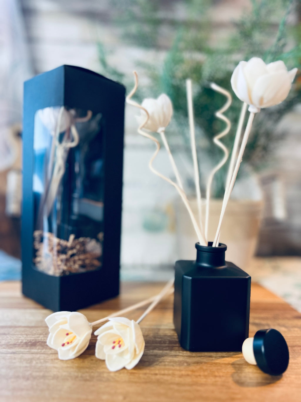 Reed Diffuser | Clean, Long-Lasting Home Fragrance
