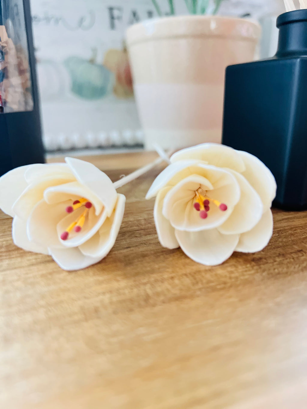 Reed Diffuser | Clean, Long-Lasting Home Fragrance