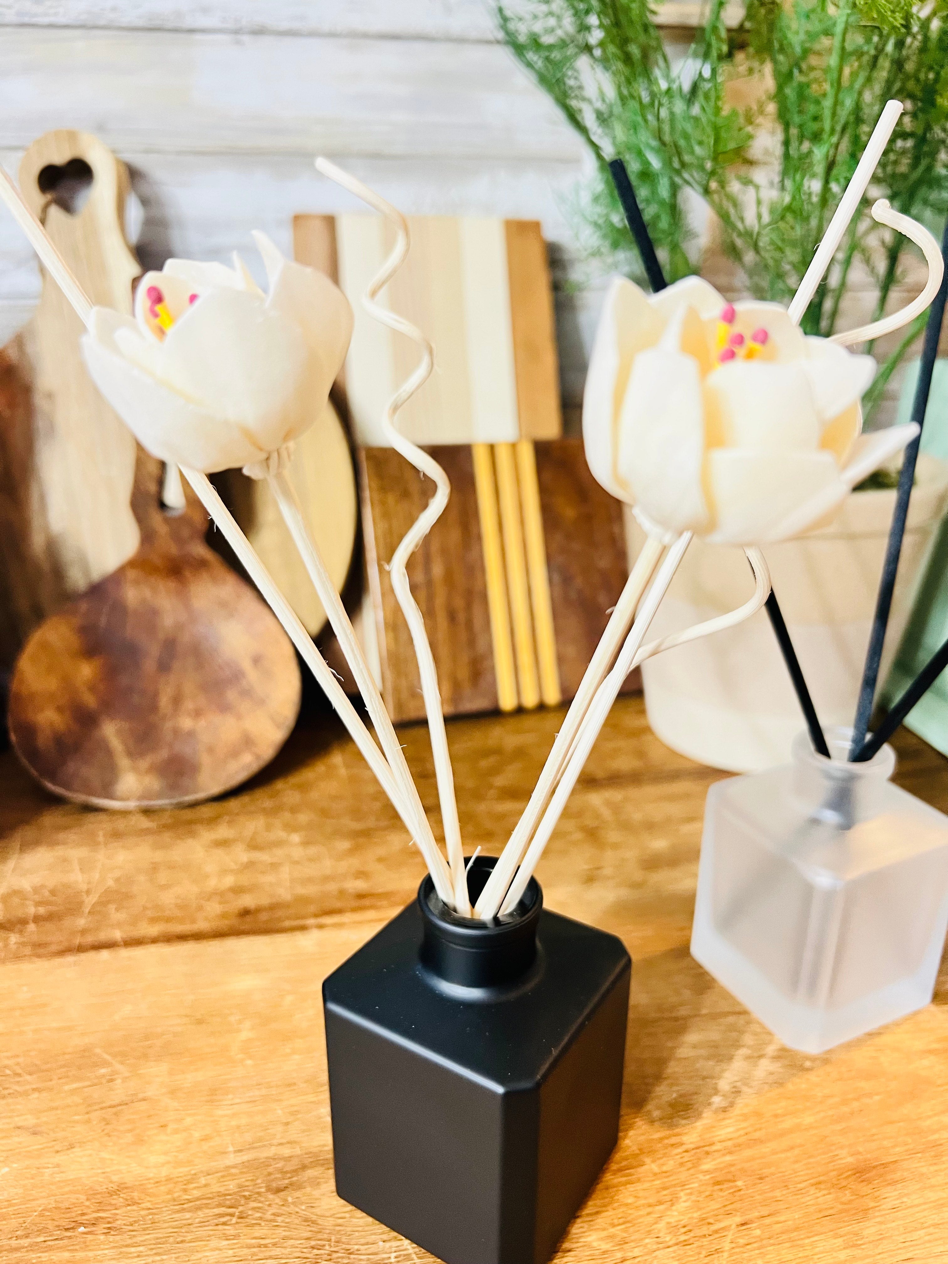 Reed Diffuser | Clean, Long-Lasting Home Fragrance