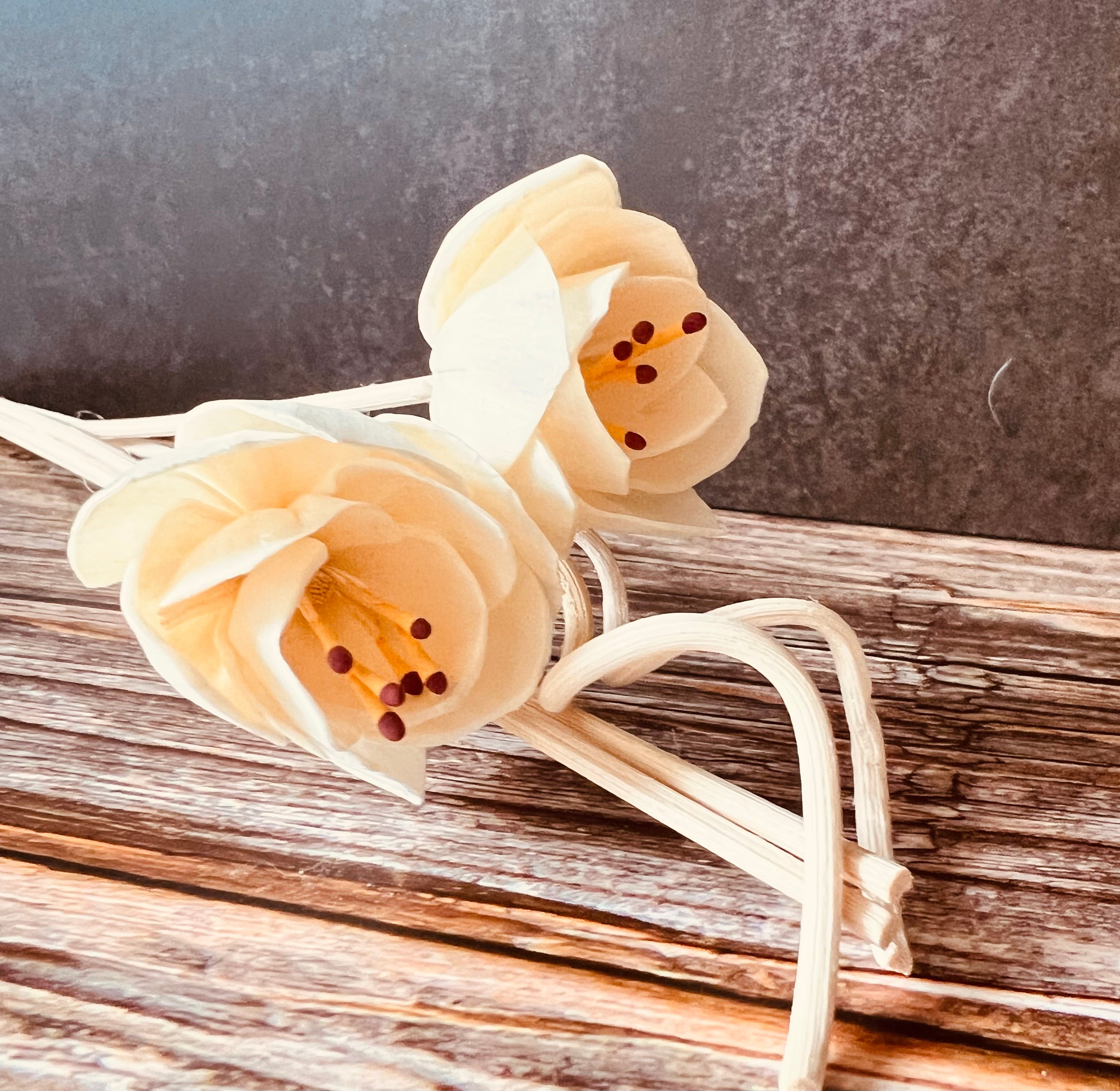 Reed Diffuser Replacement Reeds – Natural & Fiber Options | Hollyhocks & Honey