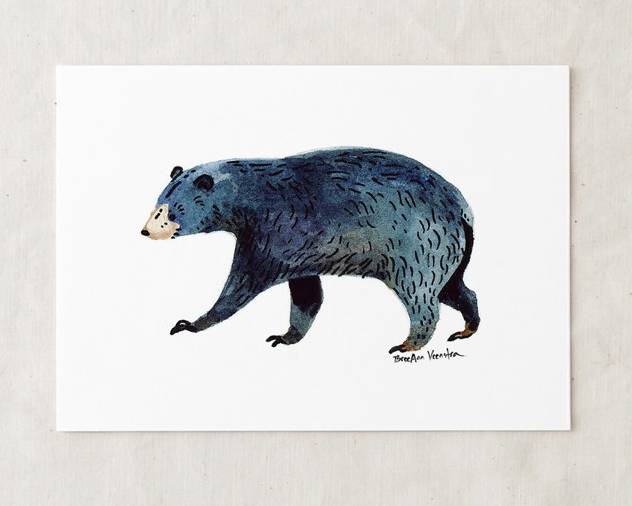 Black Bear Art Print