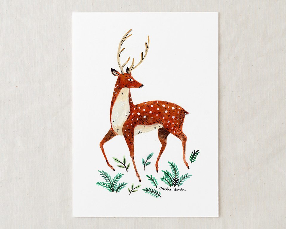 Deer Art Print