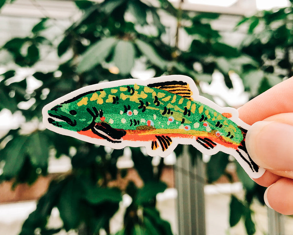 Brook Trout Sticker