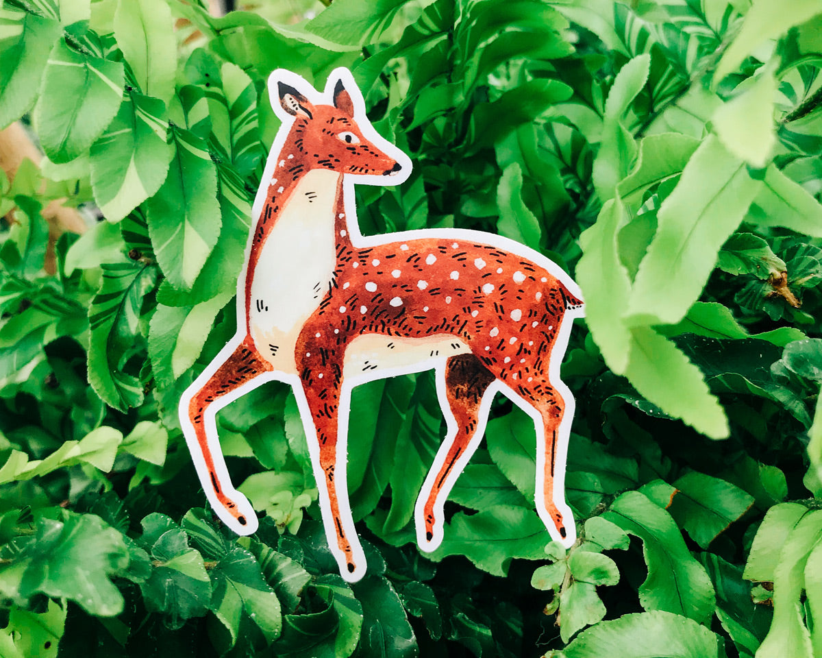 Deer Sticker