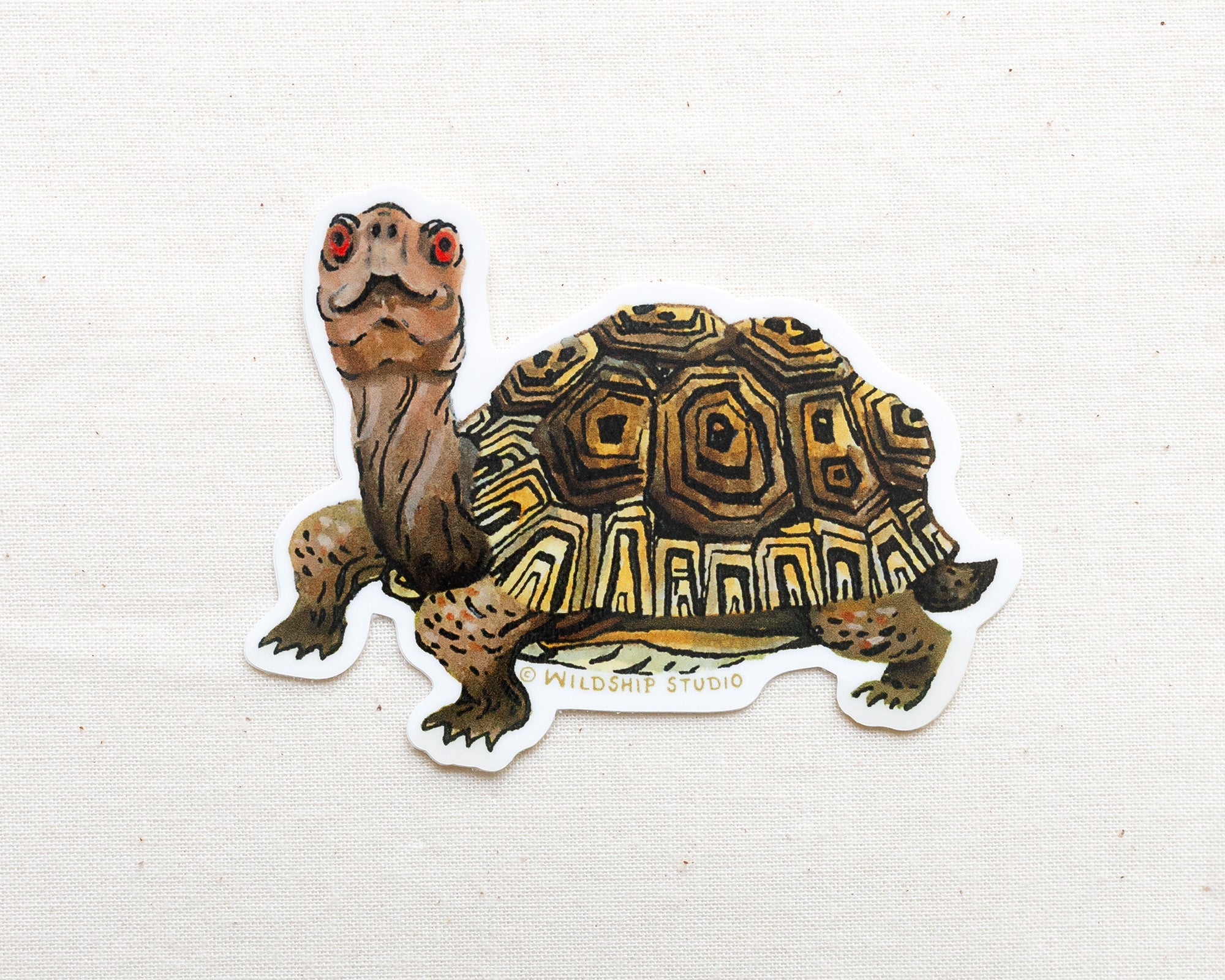 Box Turtle Sticker